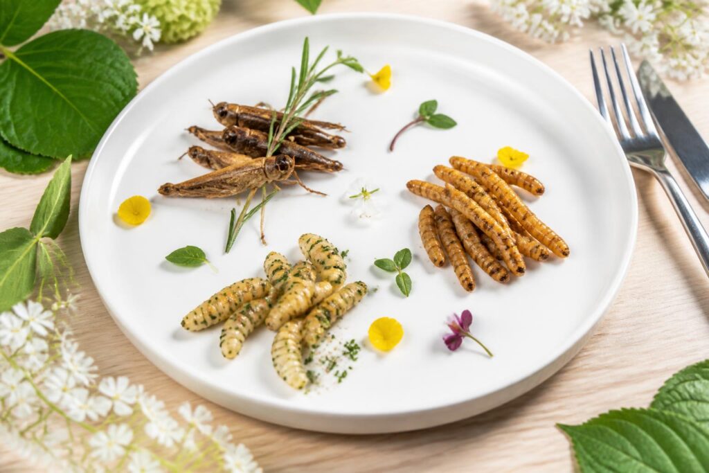 découvrez pourquoi les insectes comestibles gagnent en popularité dans nos assiettes, leurs bénéfices nutritionnels et leur impact écologique positif.