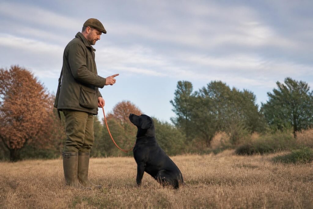 découvrez les méthodes essentielles pour dresser votre chien de chasse et en faire un compagnon obéissant et efficace sur le terrain, alliant plaisir et performance.