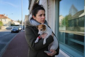 découvrez comment trouver rapidement un vétérinaire de garde en urgence le dimanche pour assurer les soins immédiats à votre animal de compagnie.