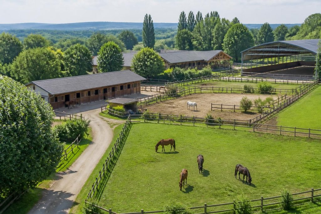 découvrez nos services de pension pour chevaux près de chez vous : tarifs compétitifs, différents types d'accueil adaptés à vos besoins, et options personnalisées pour le bien-être de votre cheval.